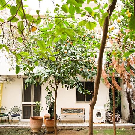 Quiet And Central Flat With Private Backyard Garden 雅典 外观 照片