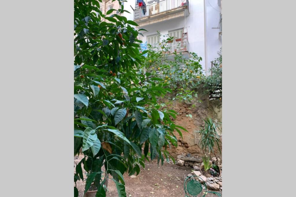 Quiet And Central Flat With Private Backyard Garden 雅典 外观 照片
