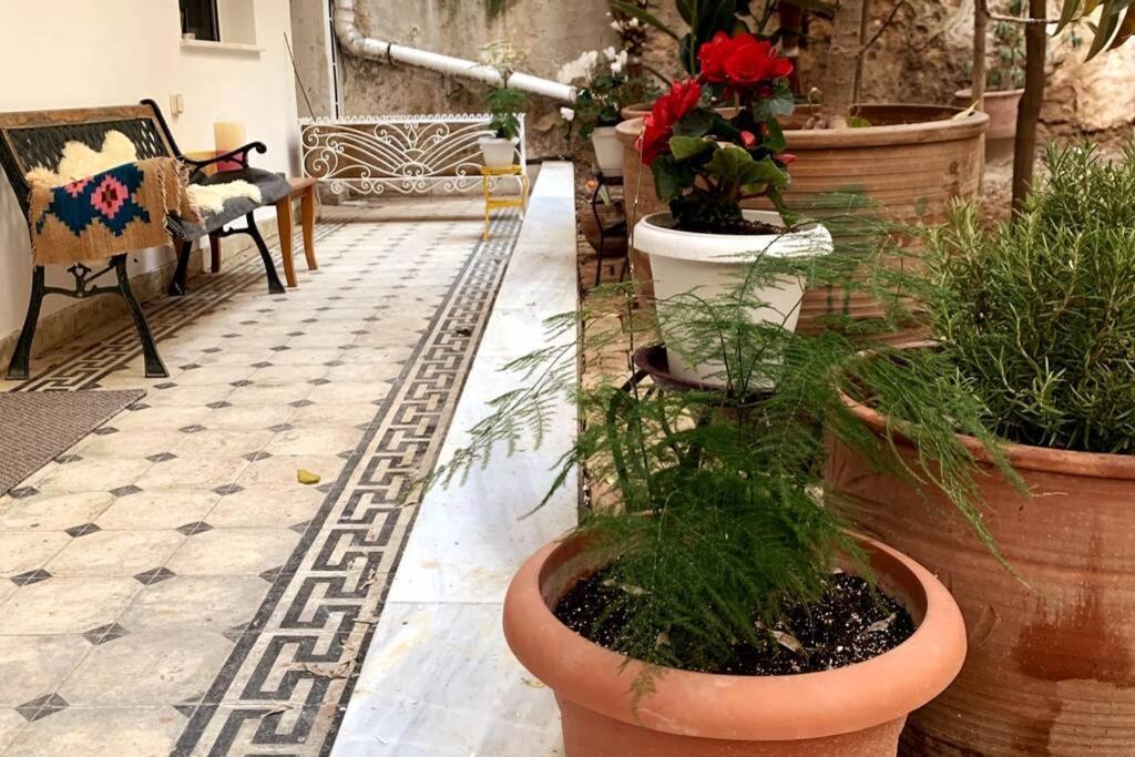 Quiet And Central Flat With Private Backyard Garden 雅典 外观 照片